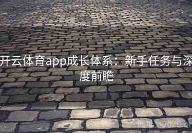 开云体育app成长体系：新手任务与深度前瞻