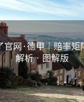 麻将胡了官网·德甲｜赔率矩阵：权威解析 · 图解版