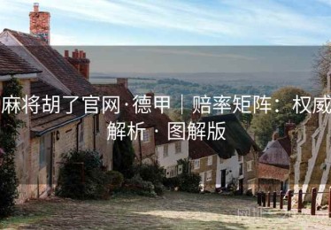 麻将胡了官网·德甲｜赔率矩阵：权威解析 · 图解版