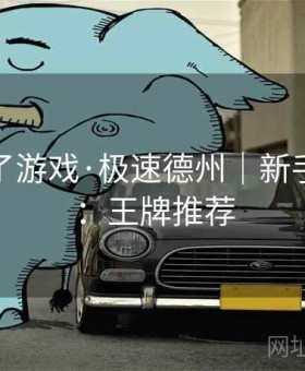 麻将胡了游戏·极速德州｜新手到高手：王牌推荐