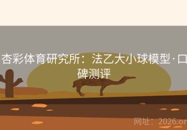 杏彩体育研究所：法乙大小球模型·口碑测评