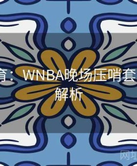 好博体育：WNBA晚场压哨套利·权威解析