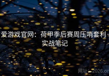 爱游戏官网：荷甲季后赛周压哨套利·实战笔记