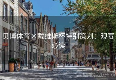 贝博体育×戴维斯杯特别策划：观赛必读