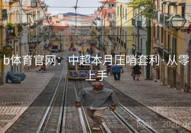 b体育官网：中超本月压哨套利·从零上手