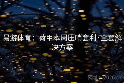 易游体育：荷甲本周压哨套利·全套解决方案