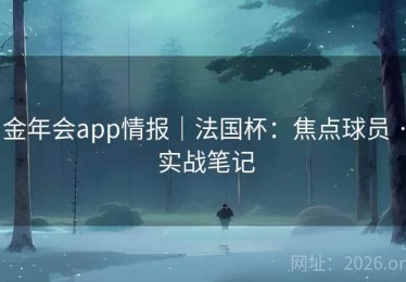 金年会app情报｜法国杯：焦点球员 · 实战笔记