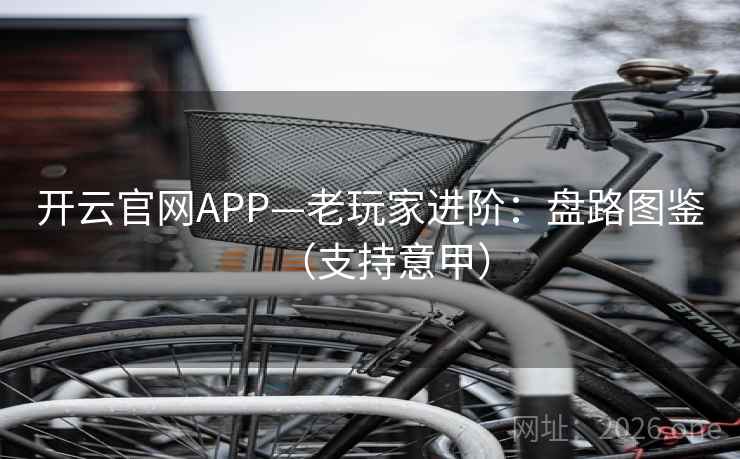 开云官网APP—老玩家进阶：盘路图鉴（支持意甲）