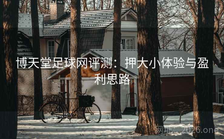 博天堂足球网评测:押大小体验与盈利思路 博天堂足球网评测:押大小体验与盈利思路