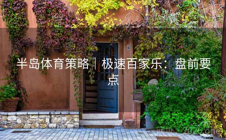 半岛体育策略｜极速百家乐：盘前要点